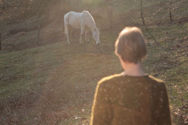 Look, Stranger, photo 2 of 6