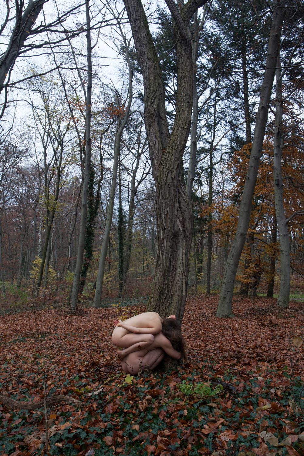YEW, photo 1 of 5