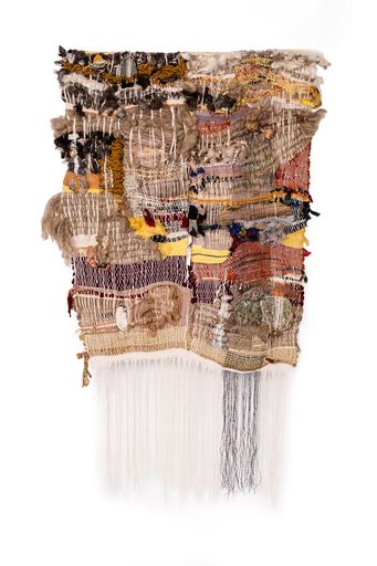 Coverphoto of Tapestry Sculptures
