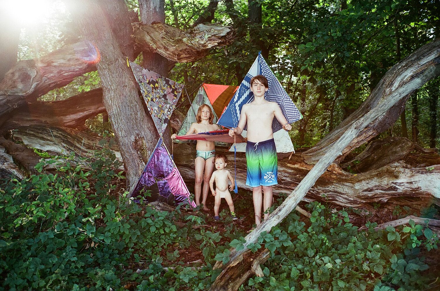 Triangles, photo 2 of 2